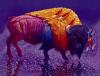 Red Feathered Spirit