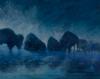 Midnight Bison