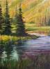 Mountain Meadow